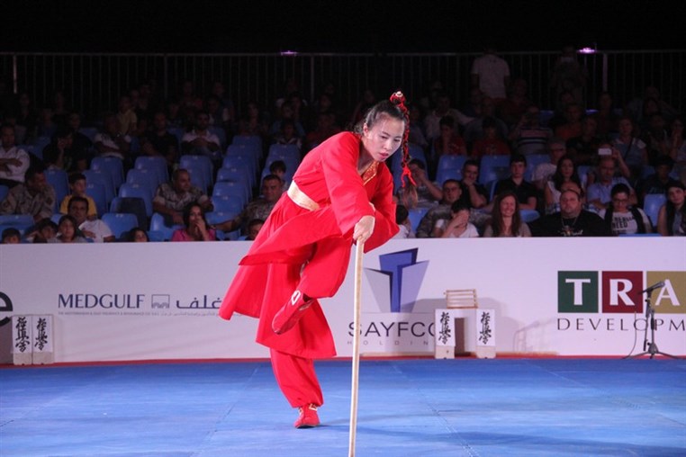 Martial Arts Festival